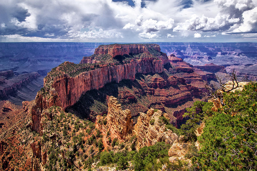 Wotans Throne Grand Canyon Photograph by Carolyn Derstine