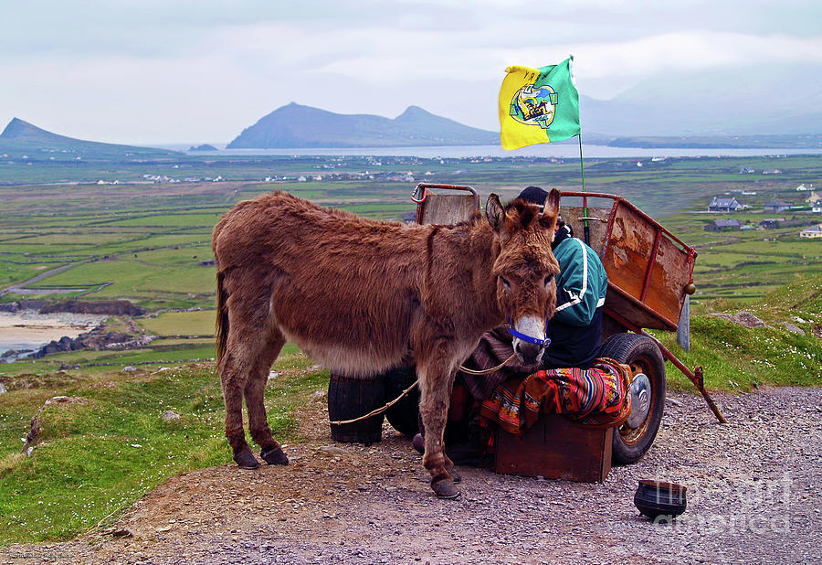 Would You Like a Ride in Ireland Photograph by Patricia Griffin Brett