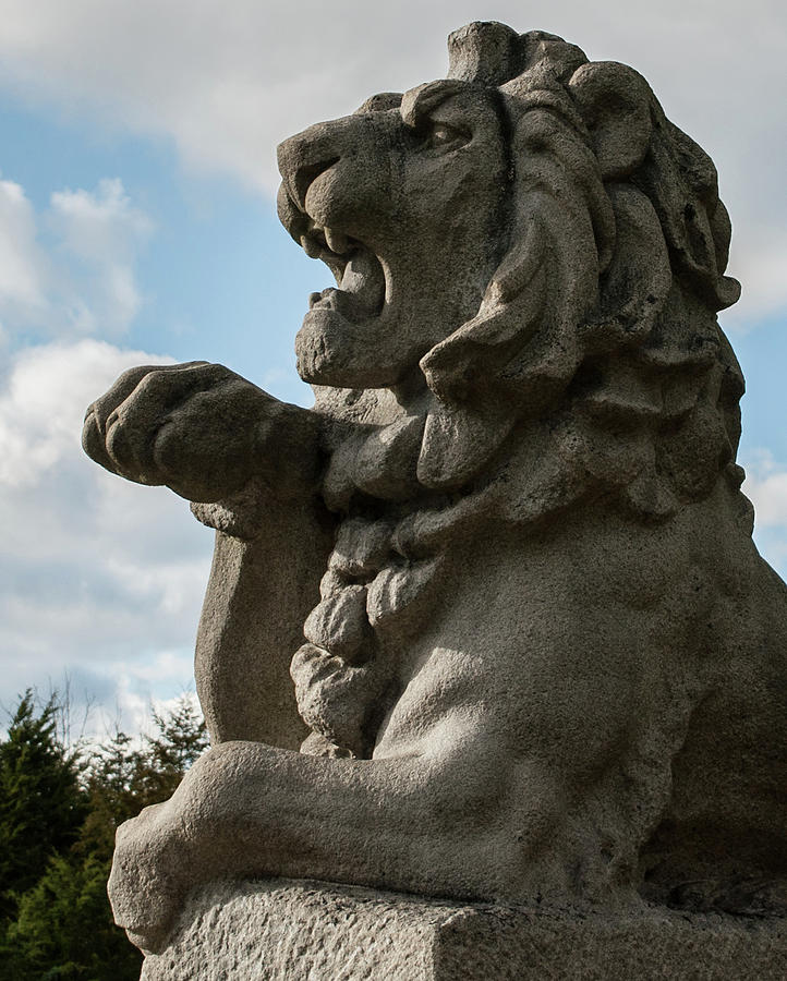 Wounded Lion at Sharpsburg Photograph by Kat Zalewski-Bednarek - Fine ...