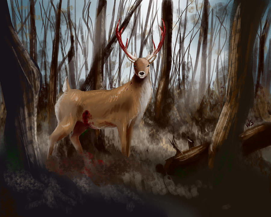 Wounded Wanderer by Willow Schafer Wounded Wanderer by Willow Schafer