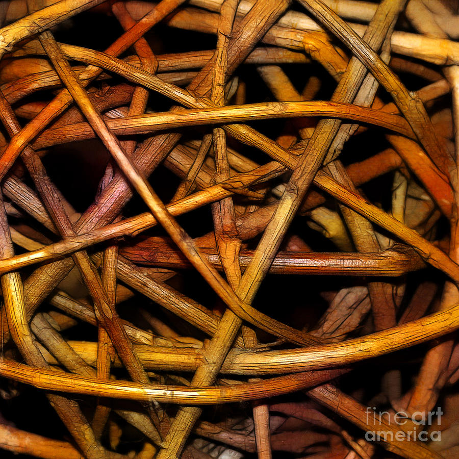 Woven Photograph by Judi Bagwell