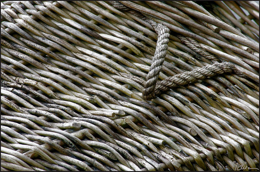 Woven Photograph by Peggy Dietz