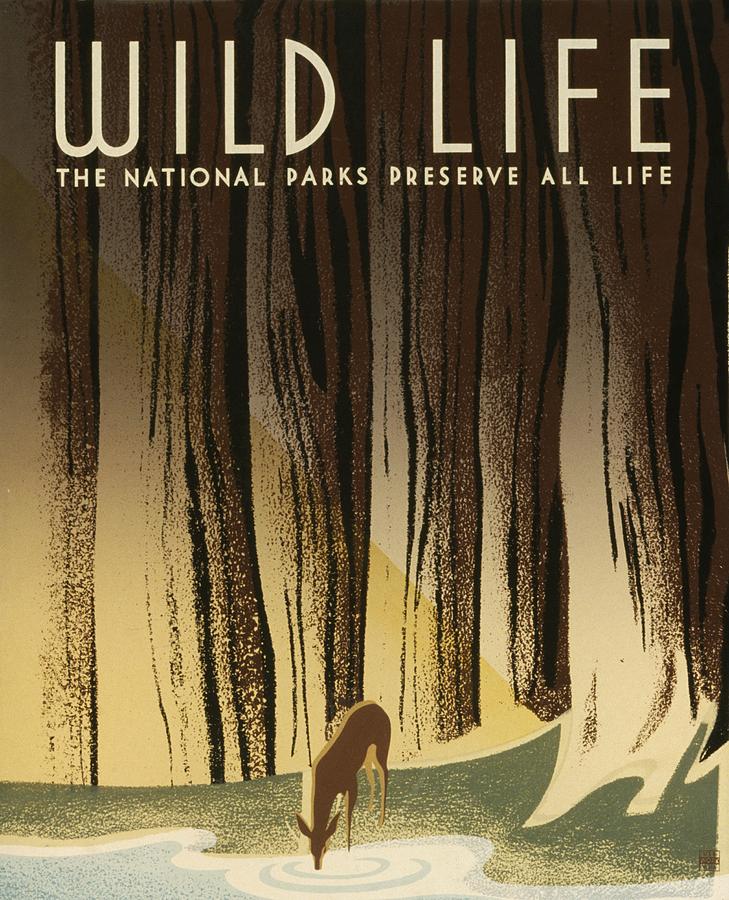 WPA Wildlife 2 Digital Art by David Lane
