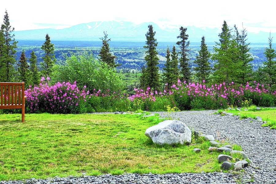 Wrangell St. Elias Park and Preserve Photograph by Kirsten Giving