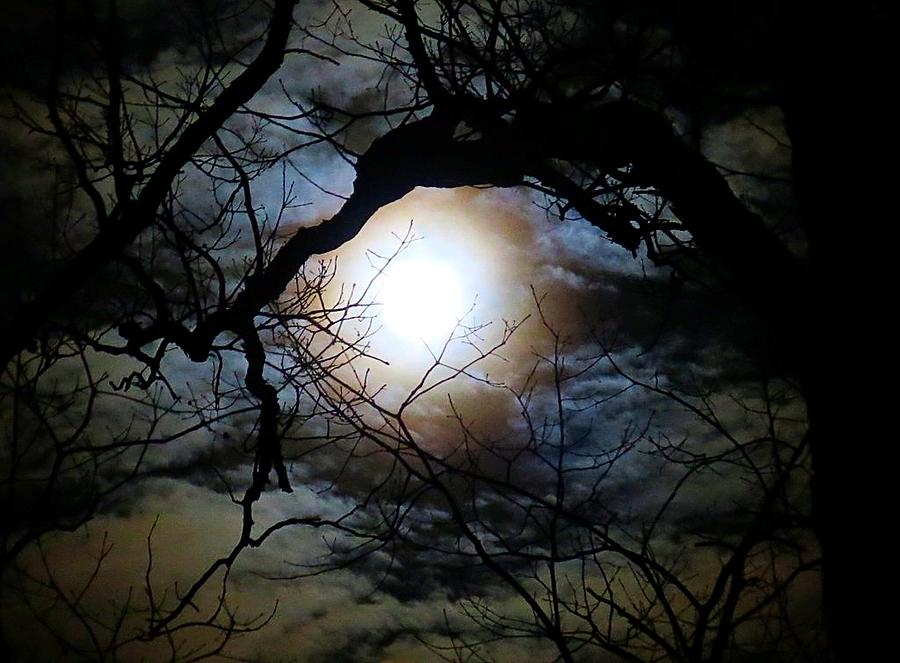 Wrap around Moon Photograph by Betty Buller Whitehead