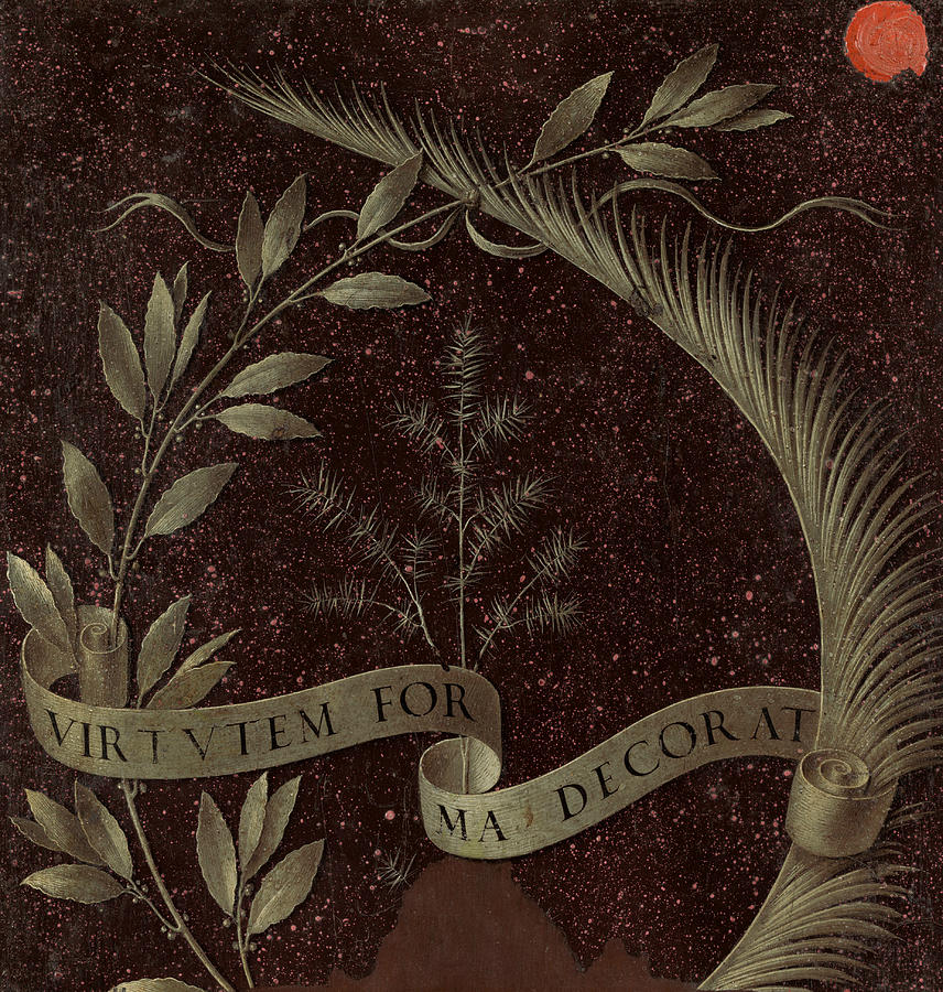 Wreath of Laurel, Palm, and Juniper with a Scroll inscribed Virtutem Forum Decor Painting by Leonardo da Vinci