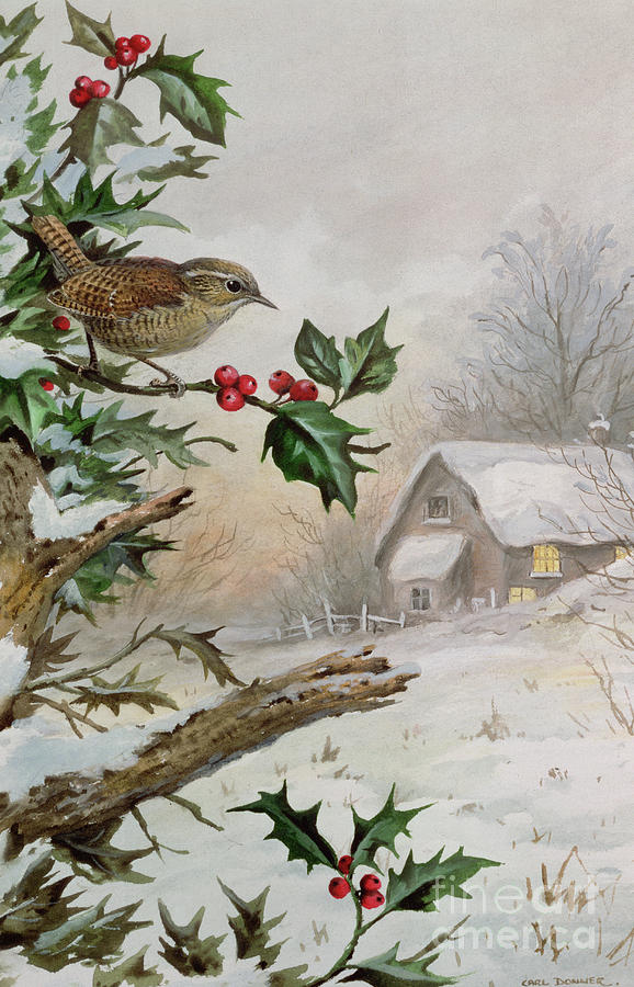Wren Painting - Wren in Hollybush by a cottage by Carl Donner