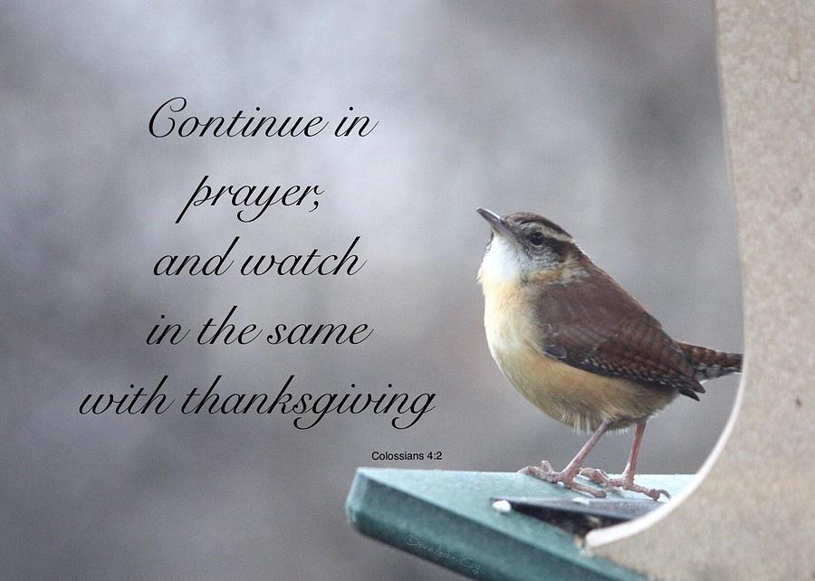 Wren in Prayer and Thanksgiving Photograph by Diane Lindon Coy