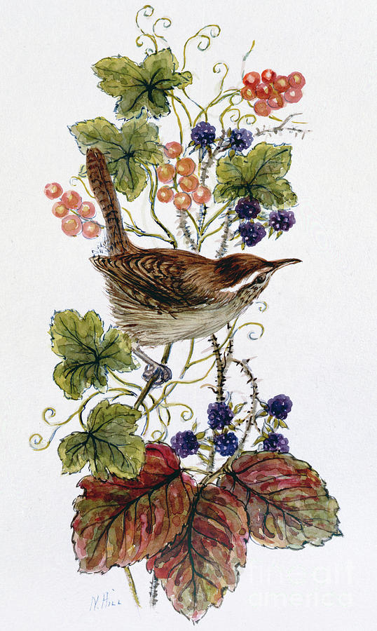Wren Painting - Wren on a spray of berries by Nell Hill