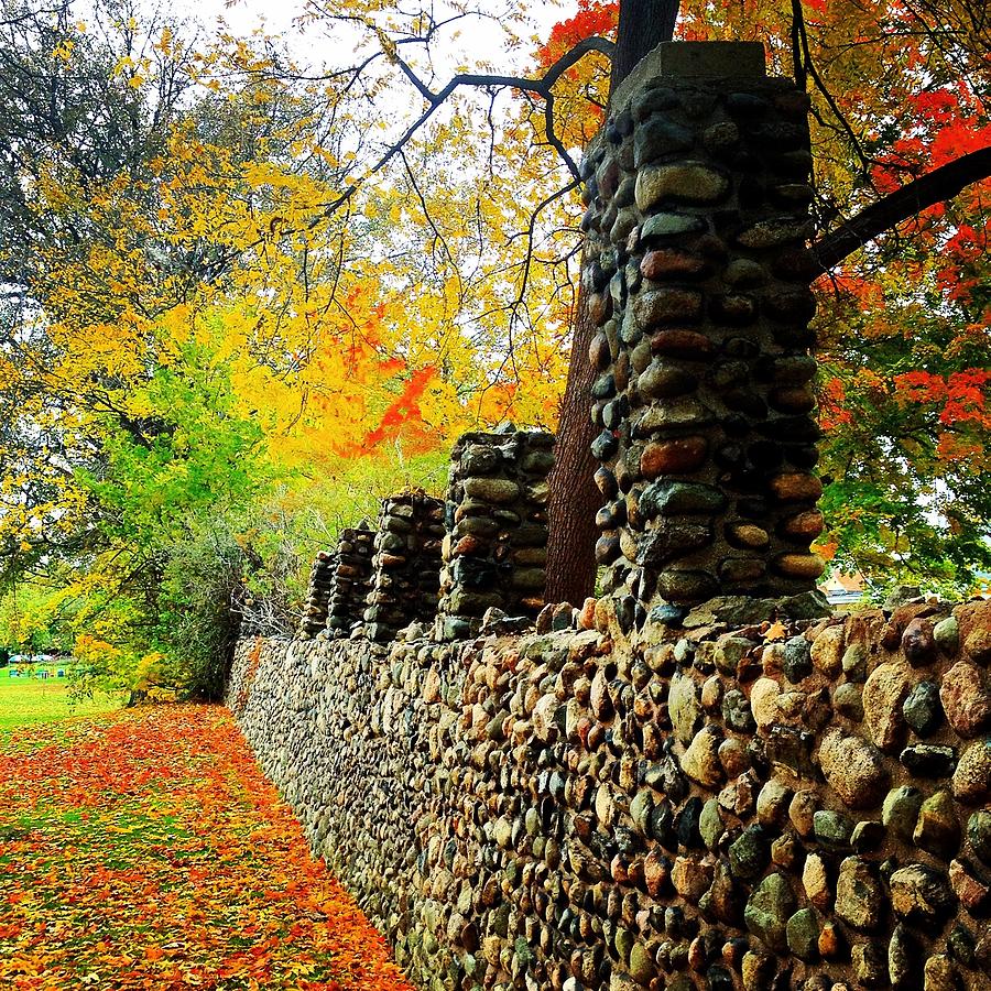 Wright Park Stone Wall in Fall Photograph by Chris Brown