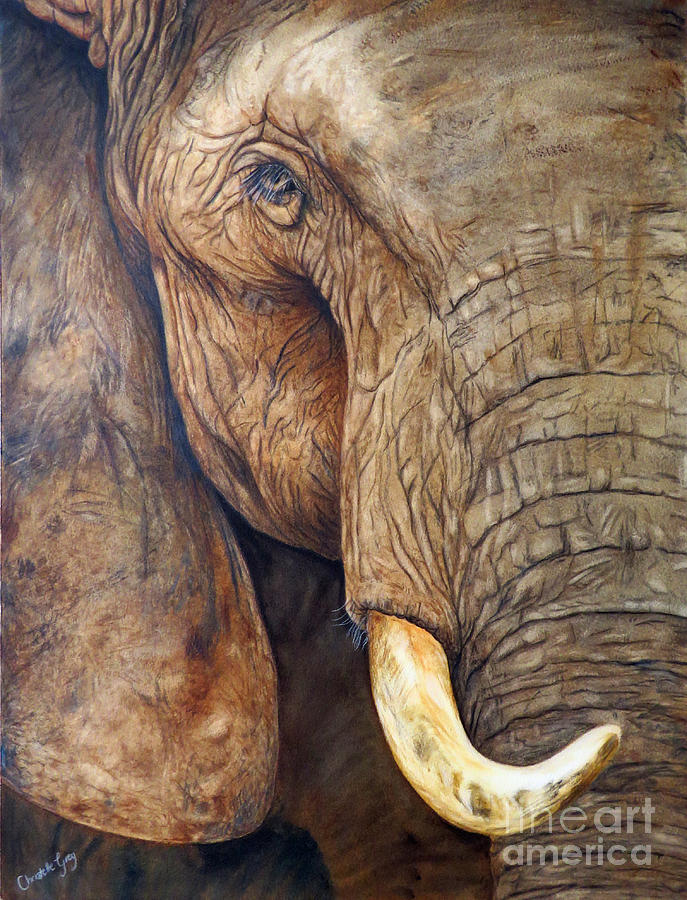 Elephant Painting - Wrinkles and Wisdom by Christelle Grey