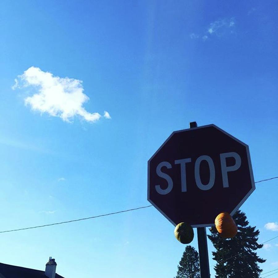 Stopsign Photograph - Write Your Own Caption? #creative by Ginger Oppenheimer