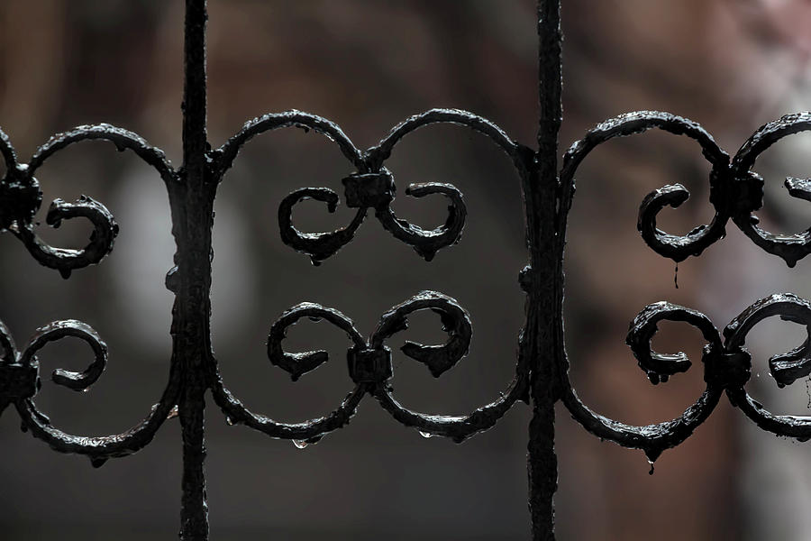 Wrought Iron and Raindrops Photograph by Robert Ullmann