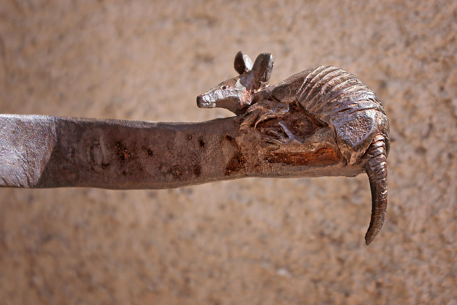Wrought Iron - Armadillo Photograph by Nikolyn McDonald