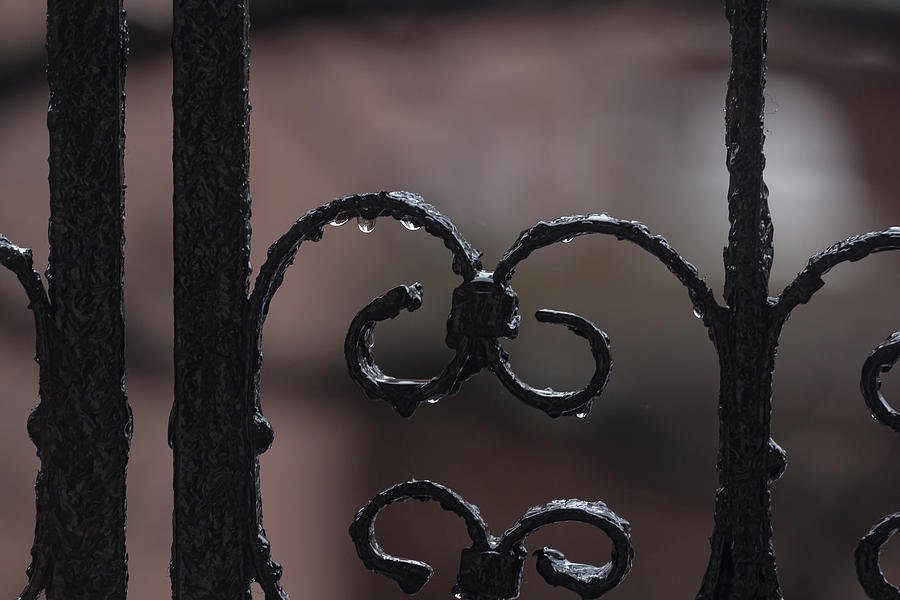 Wrought Iron Fence and Raindrops Photograph by Robert Ullmann