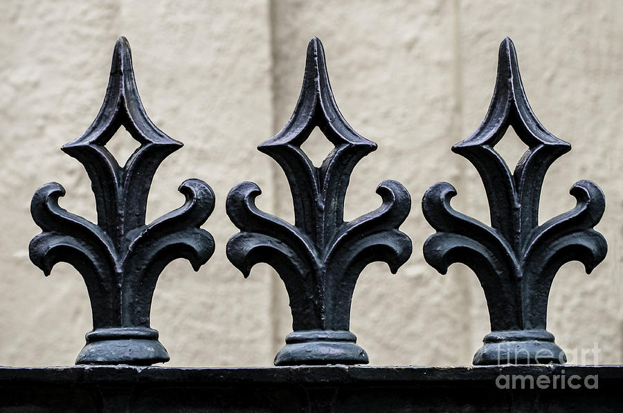 Wrought Iron Fence Detail Photograph by Frances Ann Hattier