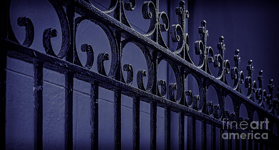 Wrought Iron Fence- NOLA Photograph by Kathleen K Parker