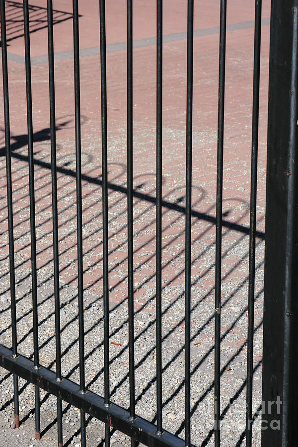 Wrought-Iron Gate and Shadows Photograph by William Kuta