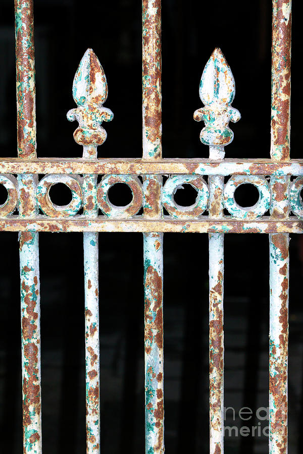 Wrought Iron New Orleans Photograph by John Rizzuto
