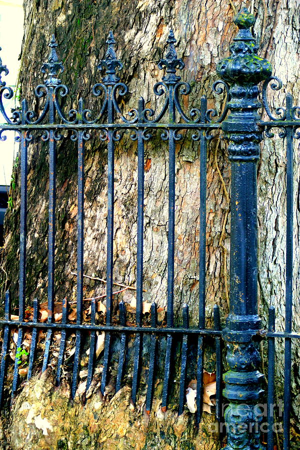 Residential Wrought Iron Fences in New Orleans