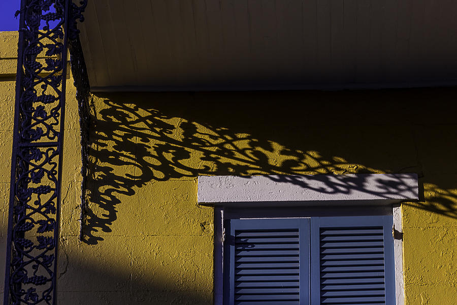 Wrought Iron Shadows Photograph by Garry Gay