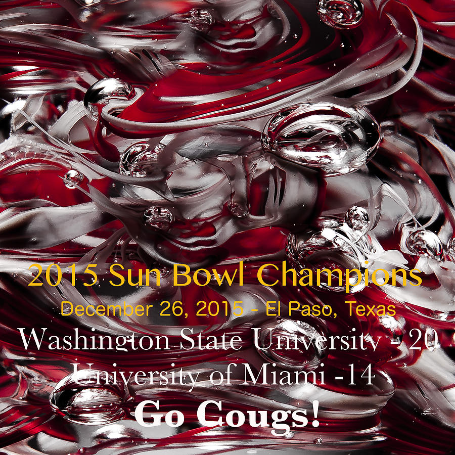 WSU - 2015 Sun Bowl Champs Photograph by David Patterson