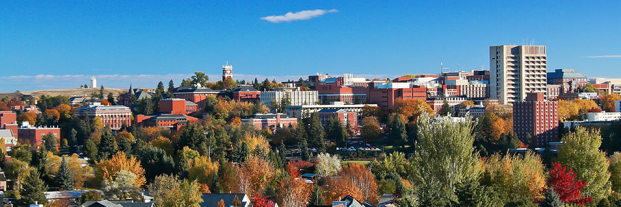 WSU Autumn Panorama Photograph by David Patterson