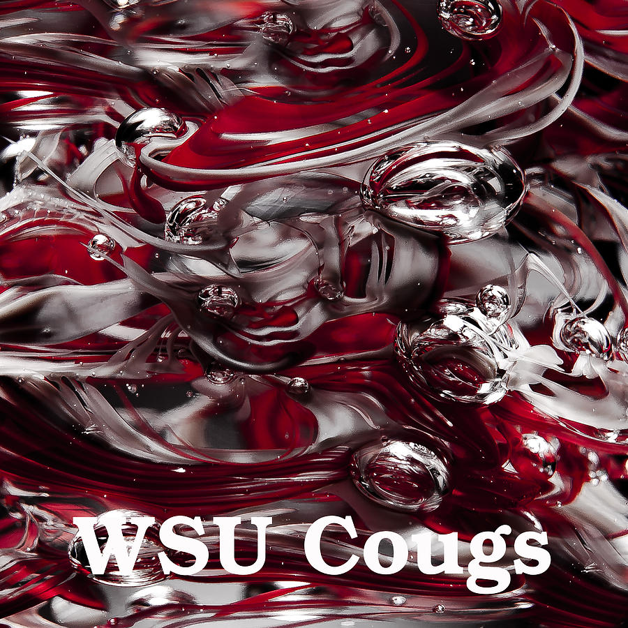 WSU Cougs Photograph by David Patterson