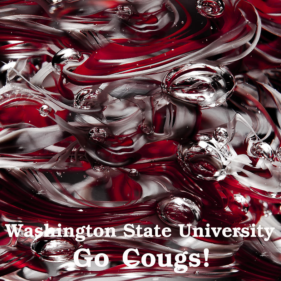 WSU - Go Cougs Photograph by David Patterson