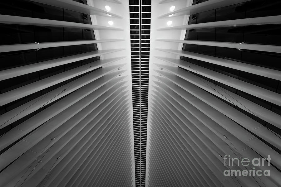 WTC Symmetry Photograph by Michael Ver Sprill