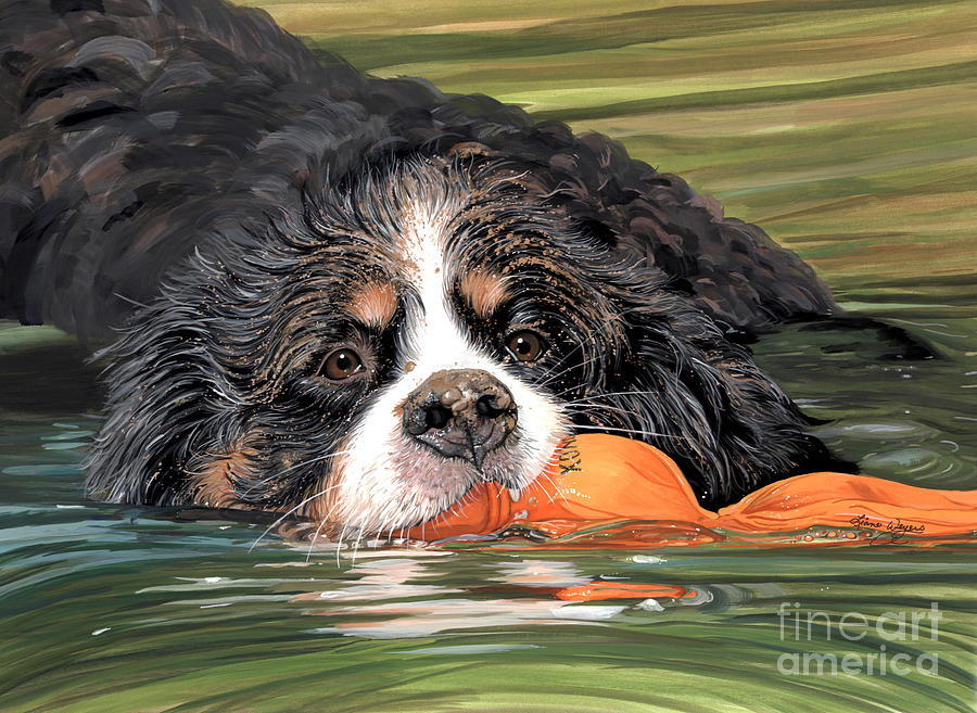 Wuba Good Swimmer - Bernese Mountain Dog Painting by Liane Weyers