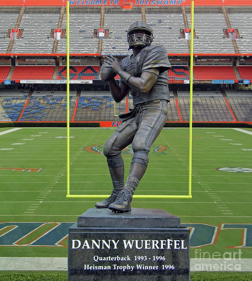 Wuerffel In The Swamp Photograph by D Hackett