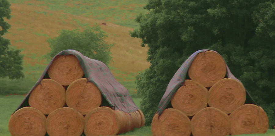 Landscape Photograph - WV Hay Bales 5 by Cathy Lindsey