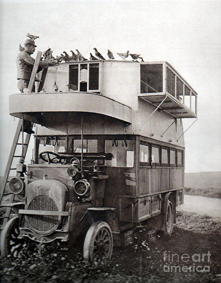 Wwi, French Carrier Pigeon Loft Photograph by Science Source