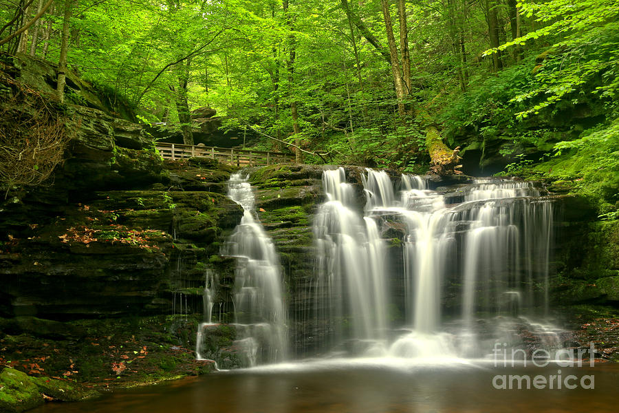 Wyandot Falls In The Forest Photograph by Adam Jewell