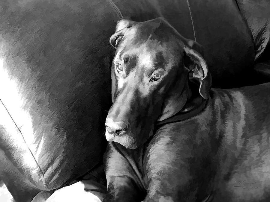 Wyatt In The Recliner Photograph by Theresa Campbell