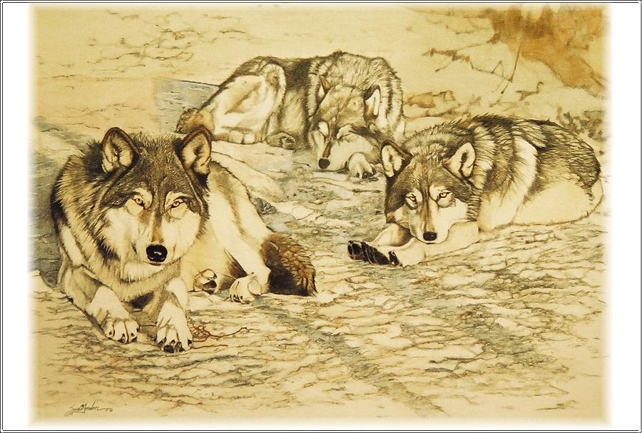 Animal Painting - Wynken, Blynken, and Nod - wolves by Susie Gordon