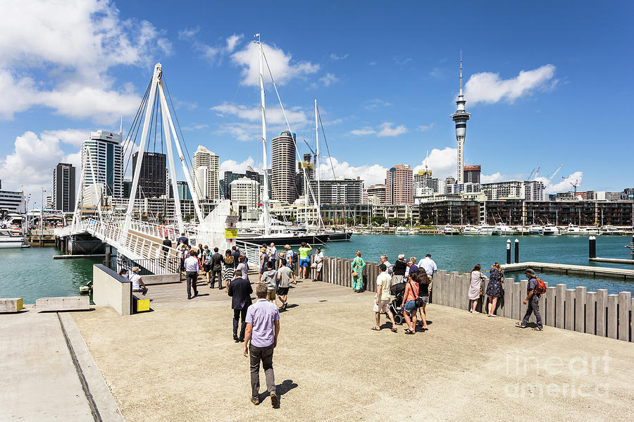 Wynyard district to the Viaduct Marina in Auckland Photograph by Didier Marti