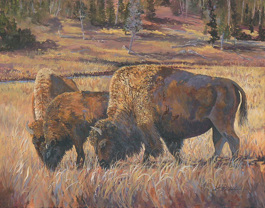 Wyoming Bison Painting by Linda Mikulich | Fine Art America