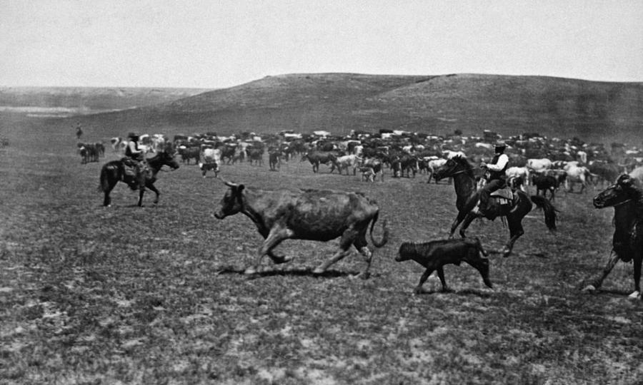 WYOMING: COWBOYS, c1890 Photograph by Granger - Fine Art America