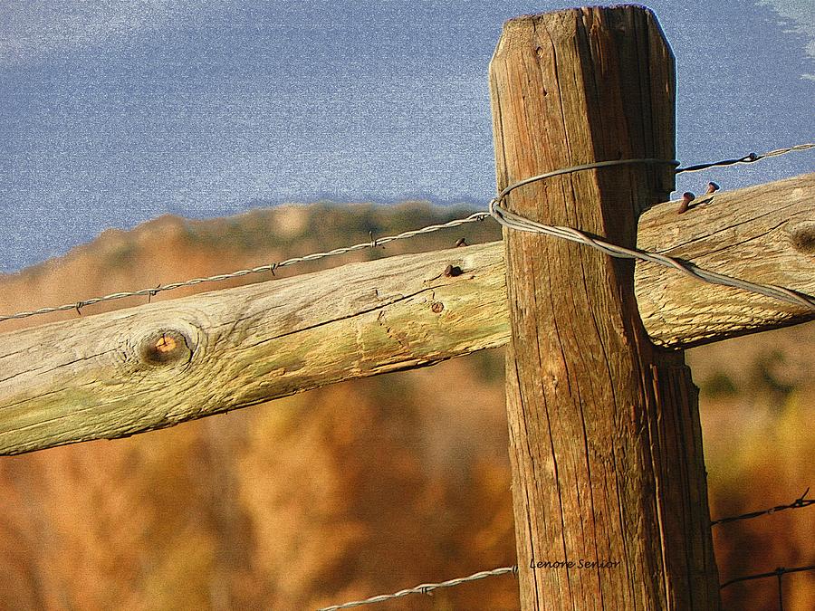 Wyoming Fence in Autumn Photograph by Lenore Senior