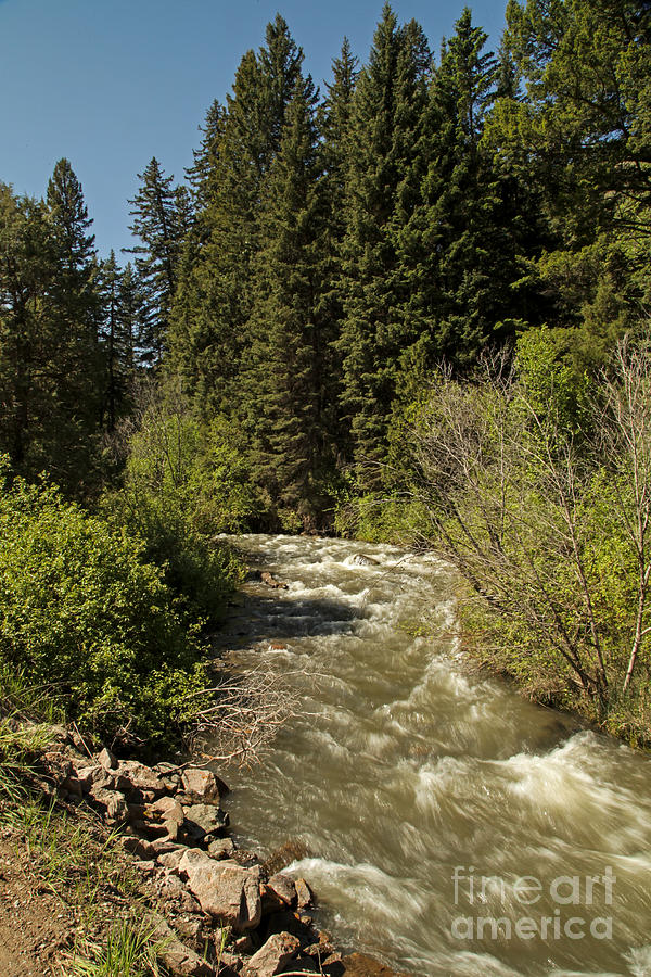 Wyoming Mountain Stream Photograph by Natural Focal Point Photography