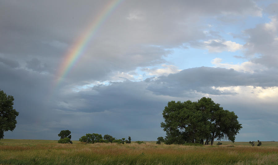 Wyoming Rainbow Photograph by Diane Bohna