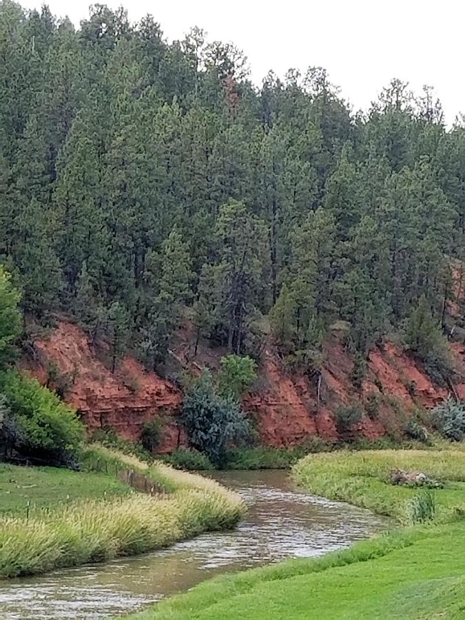 Wyoming River 1 Photograph by Rob Hans