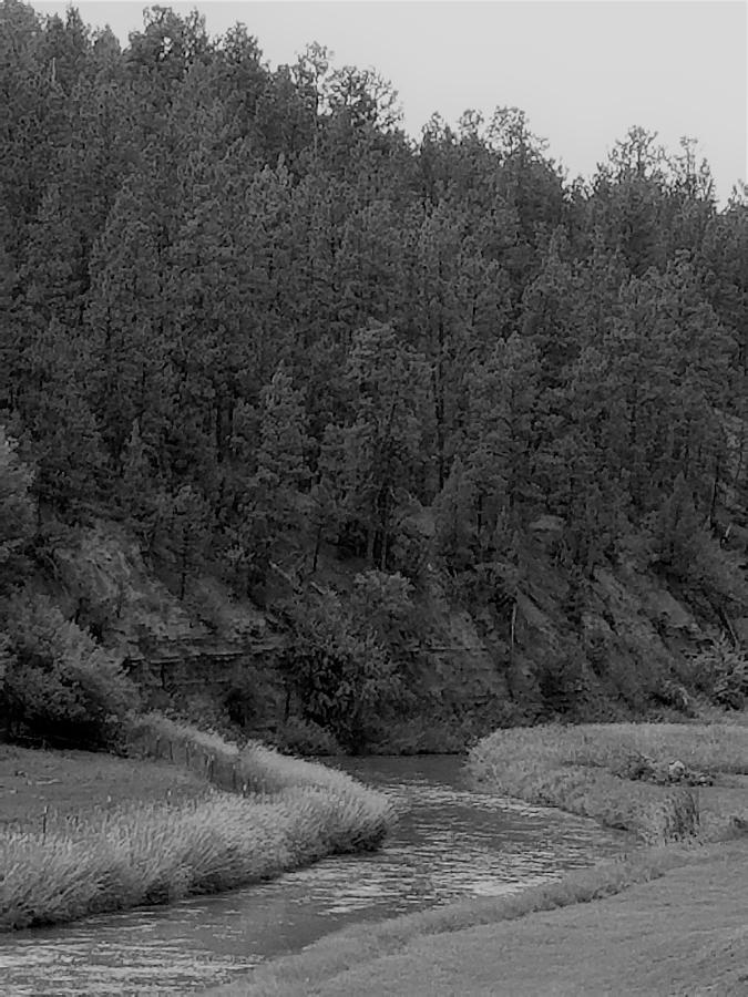 Wyoming River 2 B W Photograph by Rob Hans