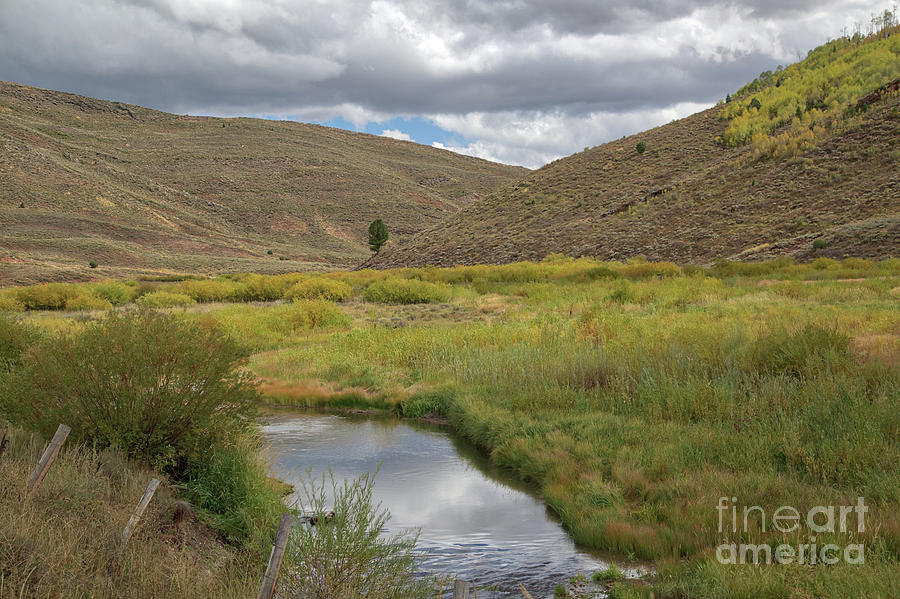Streams Photograph - Wyoming Stream  898019 by Stephen Parker