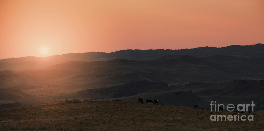 Wyoming Sunrise Photograph by Terri Cage