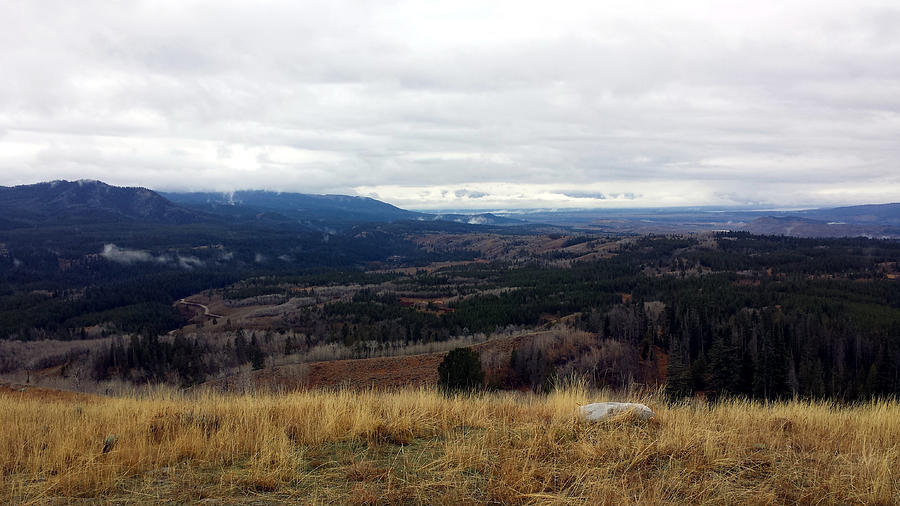 Wyoming Vastness Photograph by Curtis Griffith - Fine Art America