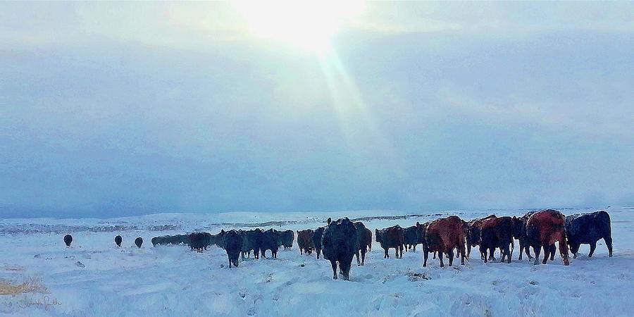 Wyoming Winter Push Photograph by Amanda Smith