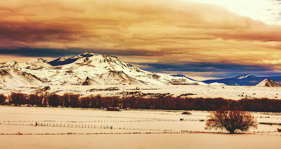 Wyoming Winter Vista Photograph by Mountain Dreams